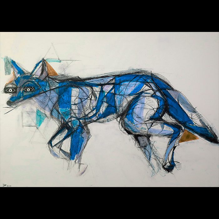 blaue fuchs